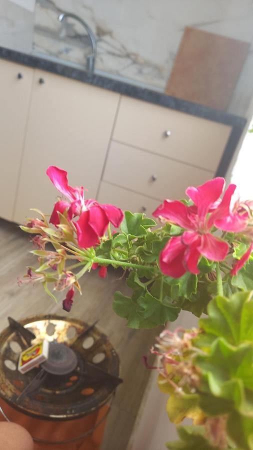 Beta Rest Apartament *